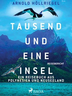 Arnold Höllriegel Tausend und eine Insel. Ein Reisebuch aus Polynesien und Neuseeland обложка книги
