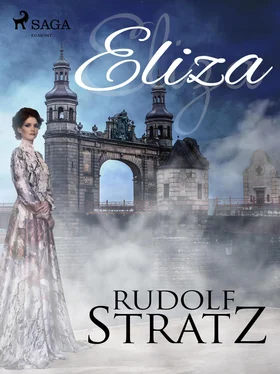 Rudolf Stratz Eliza обложка книги