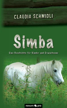 Claudia Schmidli Simba обложка книги