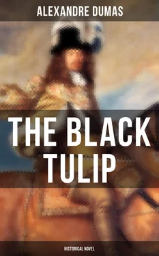 Alexandre Dumas THE BLACK TULIP (Historical Novel) обложка книги