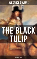 Alexandre Dumas - THE BLACK TULIP (Historical Novel)