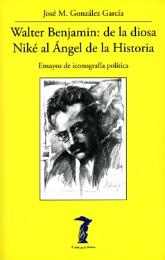 José M. González García Walter Benjamin: de la diosa Niké al Ángel de la Historia обложка книги