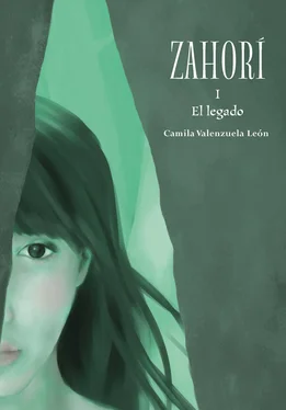 Camila Valenzuela Zahorí 1 El legado обложка книги