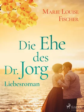 Marie Louise Fischer Die Ehe des Dr. Jorg - Liebesroman обложка книги