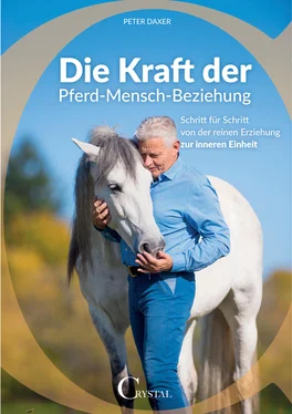 Peter Daxer Die Kraft der Pferd-Mensch-Beziehung обложка книги