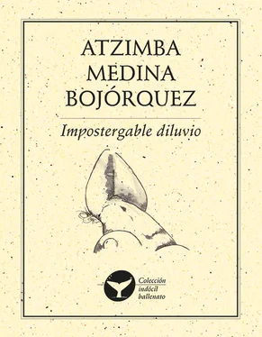 Atzimba Medina Bojórquez Impostergable diluvio обложка книги