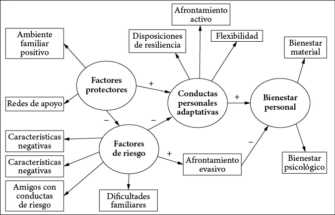 Figura 1 Modelo hipotético de factores relacionados con el bienestar personal - фото 11