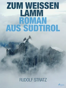 Rudolf Stratz Zum weißen Lamm. Roman aus Südtirol обложка книги