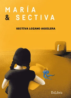 Sectiva Lozano Aguilera María y Sectiva обложка книги