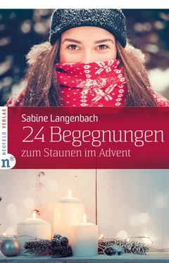 Sabine Langenbach 24 Begegnungen zum Staunen im Advent обложка книги