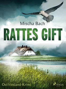 Mischa Bach Rattes Gift - Ostfriesland-Krimi обложка книги