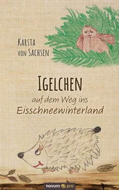 Karsta von Sachsen Igelchen auf dem Weg ins Eisschneewinterland обложка книги
