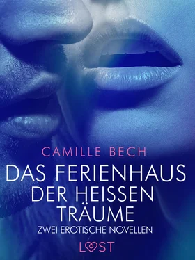 Camille Bech Das Ferienhaus der heißen Träume – Zwei erotische Novellen обложка книги