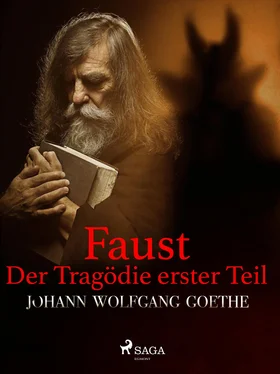Johann Wolfgang von Goethe Faust. Der Tragödie erster Teil обложка книги