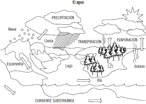 Importancia del agua para la vida La vida en la Tierra ha dependido siempre del - фото 9