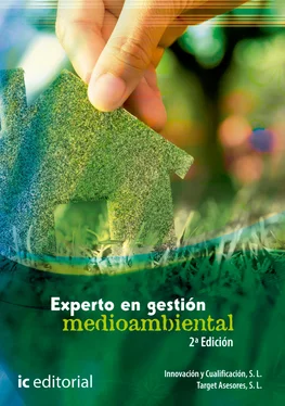 Innovación y Cualificación S. L. Experto en gestión medioambiental обложка книги