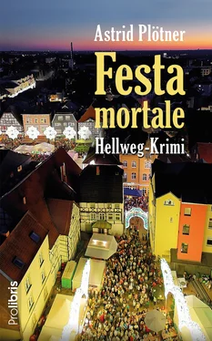 Astrid Plötner Festa mortale обложка книги