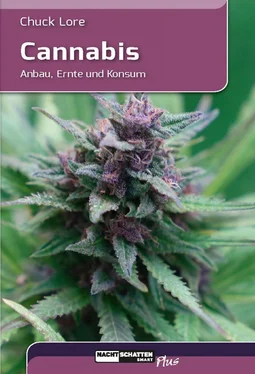 Chuck Lore Cannabis обложка книги