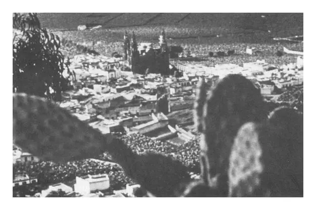 Auf Gran Canaria im Tal Bananenplantagen Die MORWAK hier noch mit heiler - фото 17