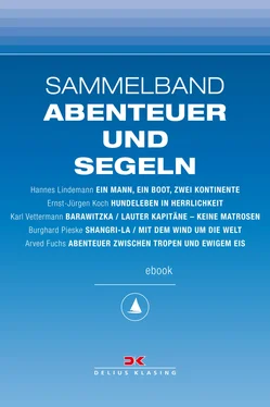 Hannes Lindemann Maritime E-Bibliothek: Sammelband Abenteuer und Segeln обложка книги