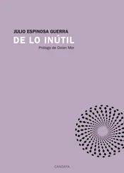 Julio Espinosa Guerra - De lo inútil