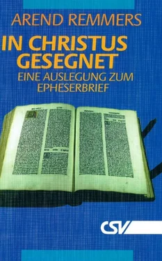 Arend Remmers In Christus gesegnet обложка книги