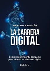 Ignacio G.R. Gavilán - La carrera digital