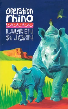 Lauren St John Operation Rhino обложка книги