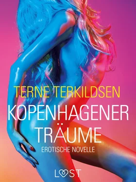 Terne Terkildsen Kopenhagener Träume: Erotische Novelle обложка книги