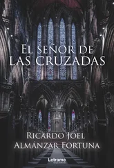 Ricardo Joel Almánzar Fortuna - El señor de las cruzadas