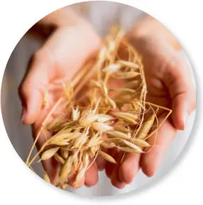 Oats Oats are responsible for healthy hair skin and firm nails The B6 it - фото 3