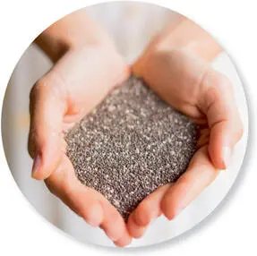 Chia seeds Chia seeds are rich in fiber vitamins and minerals such as vitamin - фото 5