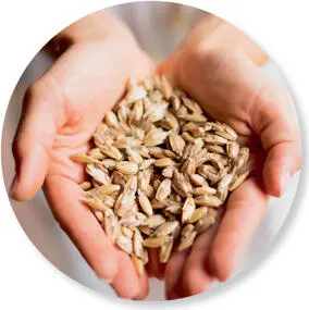 Sunflower seeds Sunflower seeds are an integral part of my bowls a small - фото 4