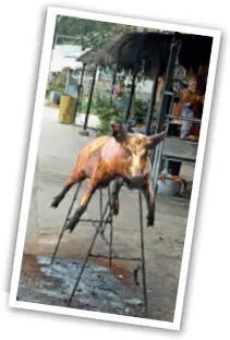 Nichts für Vegetarier Auf der Hälfte des Anstiegs stoppe ich in einem kleinen - фото 12