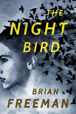 Brian Freeman The Night Bird обложка книги