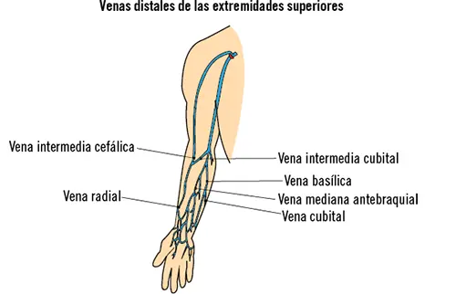 Apoyo al soporte vital avanzado SANT0208 - изображение 3