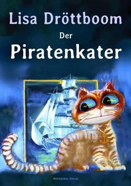 Lisa Dröttboom Der PIratenkater обложка книги