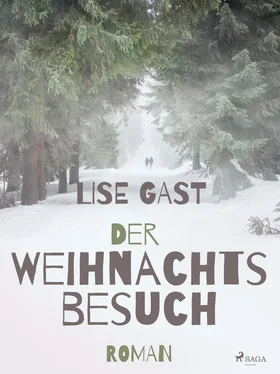 Lise Gast Der Weihnachtsbesuch обложка книги