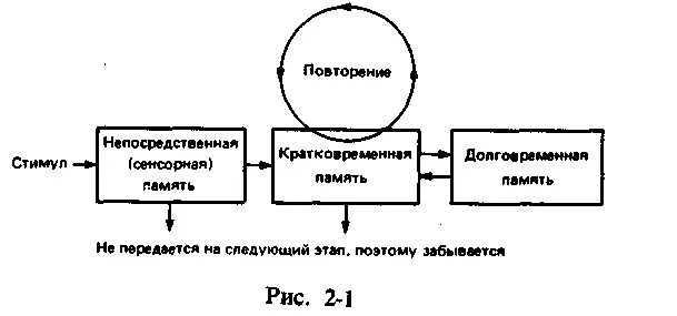 Недавние исследования показали что следы памяти постоянно претерпевают - фото 2