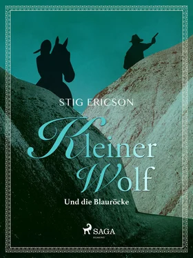 Stig Ericson Kleiner Wolf und die Blauröcke обложка книги