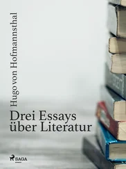 Hugo Hofmannsthal - Drei Essays über Literatur