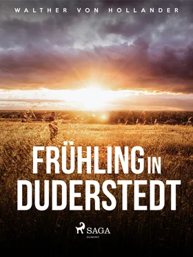 Walther von Hollander Frühling in Duderstedt обложка книги