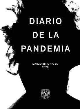 Santiago Roncagliolo Diario de la pandemia обложка книги