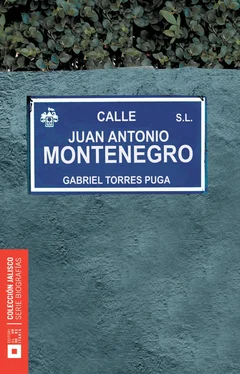 Gabriel Torres Puga Juan Antonio Montenegro обложка книги