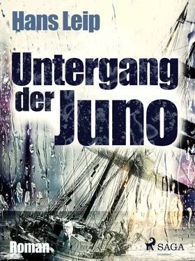 Hans Leip Untergang der Juno обложка книги