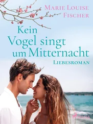 Marie Louise Fischer - Kein Vogel singt um Mitternacht - Liebesroman