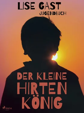 Lise Gast Der kleine Hirtenkönig обложка книги