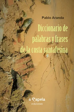 Pablo Aranda Diccionario de palabras y frases de la costa santafesina обложка книги