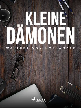 Walther von Hollander Kleine Dämonen обложка книги