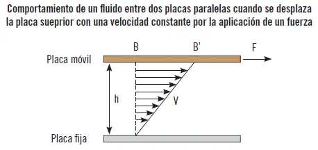 Esto se debe a la fuerza de fricción interna que se desarrolla en las - фото 41